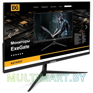 Монитор ExeGate ProSmart EV2407 (EX294427RUS) картинка 2